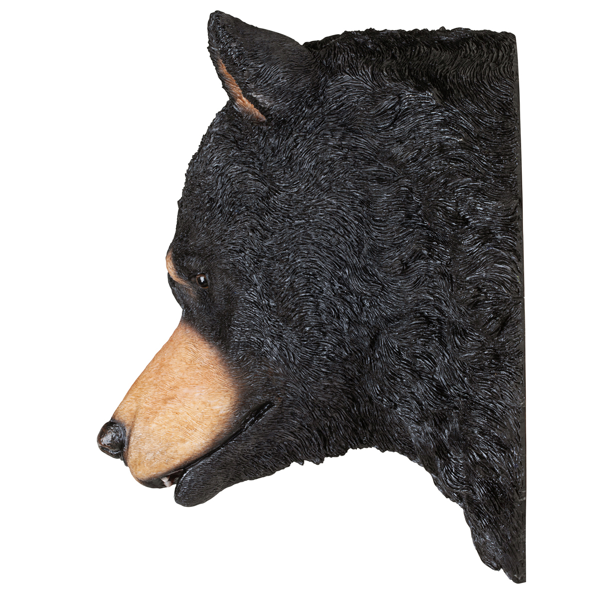 Image Thumbnail for American Black Bear Sculptural Wall Trophy